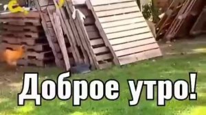 Нескучного дня!