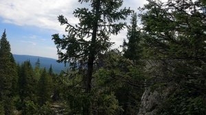 По Парку Таганай на моноколесе.