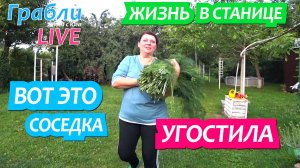 925 серия 05.06.25  Огород, покупки ВБ обновки, прогулка.  Жизнь в своем доме на Юге станица Динская
