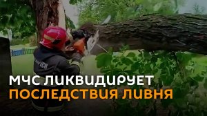 МЧС ликвидирует последствия непогоды в Беларуси