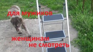 Выбор стремянки. Женщинам смотреть запрещено. Подпишитесь и поставьте лайк.