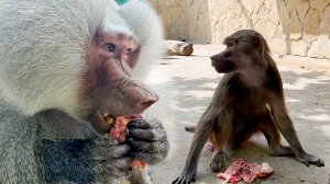 Таможня берет мясом! Елисею булочки милее, даже Лиде не досталось! Рита потеряла власть, надолго ли?