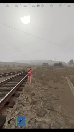 rust  и чирка