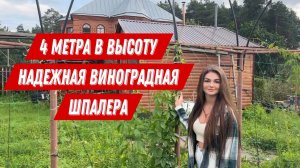 Шпалера для винограда своими руками