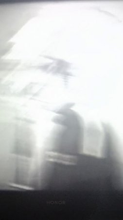 ай тигр☠️☠️☠️☠️