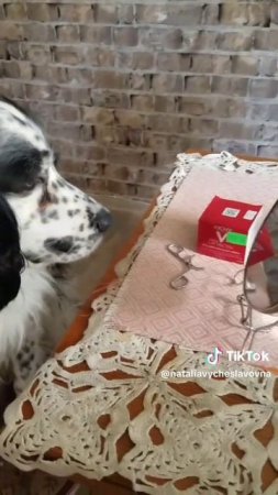Королевна...)))