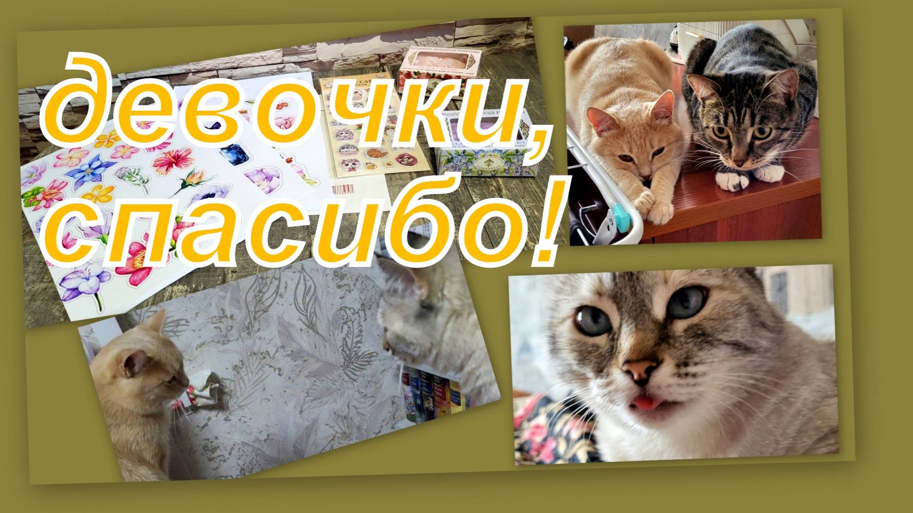 ВЛОГ: ПОКУПКИ, ПОДАРКИ ОТ ДЕВОЧЕК, БОЛЕЮ, ПУШИСТИКИ...