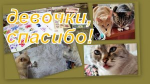 ВЛОГ: ПОКУПКИ, ПОДАРКИ ОТ ДЕВОЧЕК, БОЛЕЮ, ПУШИСТИКИ...