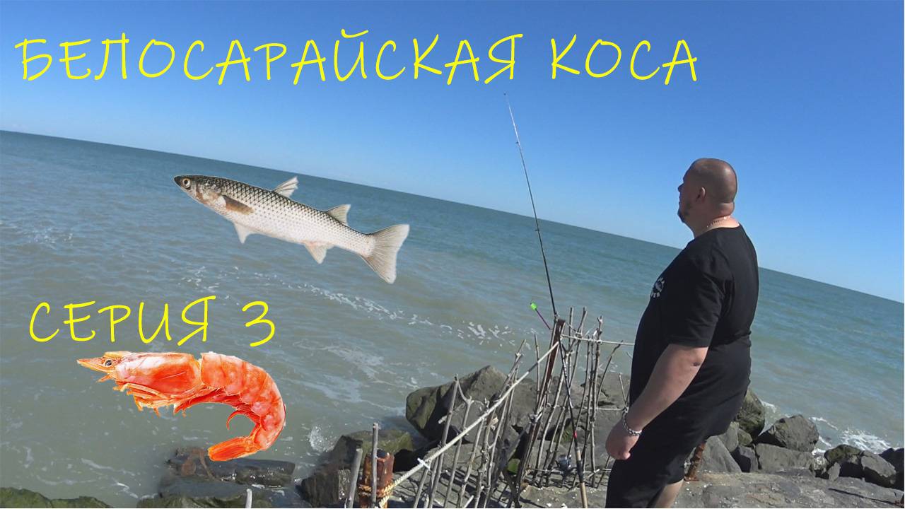 ПОЕЗДКА В ЯЛТУ. ОТМЕЧАЮ ДНЮХУ. МОРСКАЯ РЫБАЛКА. ЗАСТОЛЬЕ #белосарайка #море #рыбалка