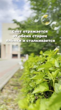 Почему мыльные пузыри переливаются цветами радуги?
