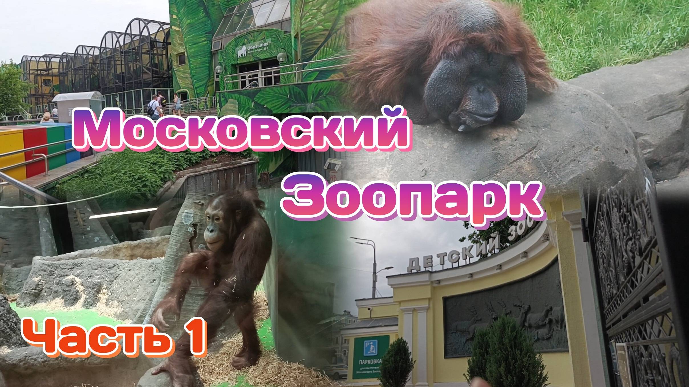Московский зоопарк.Часть 1 Дети погодки первый раз в зоопарке 30.05.25