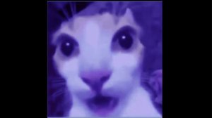 Музыка из Buckshot Roulette - Первый Раунд Мультиплеера speed up