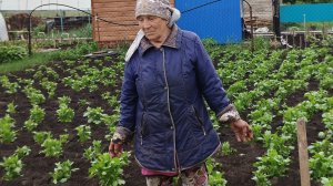 Хроника дня // у мамы всё растёт// жизнь в деревне 🏡//