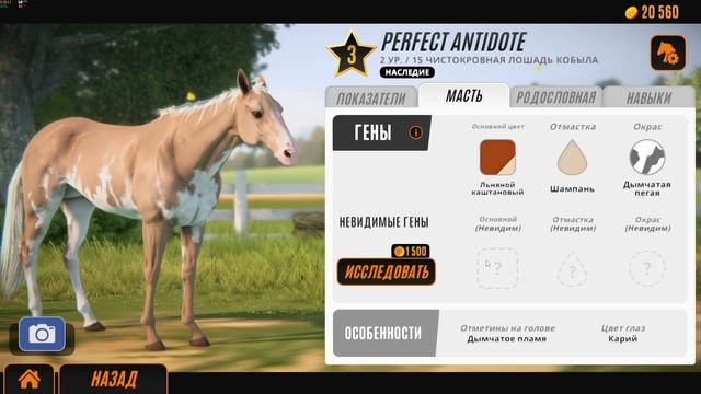 ТРЕНИРУЮ ПЕРВУЮ ЛОШАДЬ ▶ Rival Stars Horse Racing #2 ▶ПРОХОЖДЕНИ? смотреть онлайн
