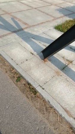 Прогулки
