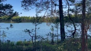 Поездка в лес. Открыли купальный сезон. Отмечаем ДР Ани