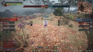 Black Desert ЛУЧНИЦА НАСЛЕДИЕ ПВП ГАЙД НОВИЧКУ