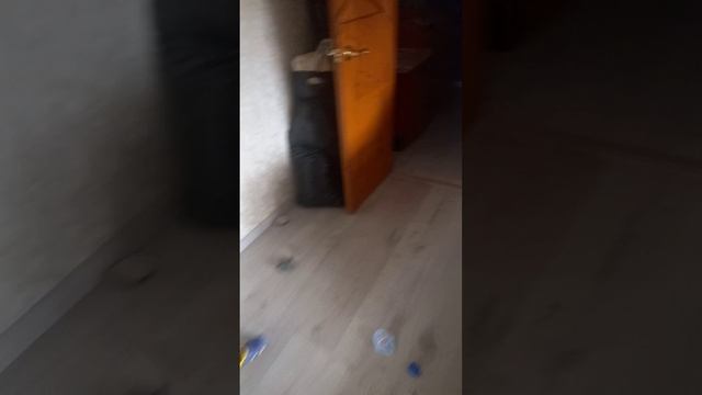 1000086991.mp4