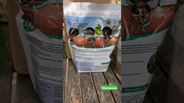Знакомство с #микориза #провансаллочка #садоводчество