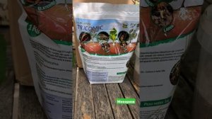 Знакомство с #микориза #провансаллочка #садоводчество