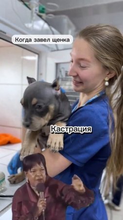 Когда завел щенка