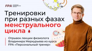 Тренировки в зависимости от фазы менструального цикла | Владимир Меркурьев (FPA)