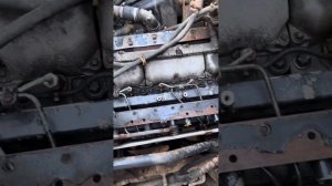 МАЗ – Зубрёнок двигатель MAN￼