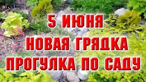 5 июня. Сделала еще одну грядку. Прогулка по саду