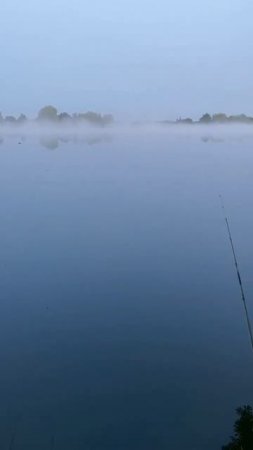 Рыбалка 🎣 #рыбалка #природа #отдыхнарыбалке #красота #музыка