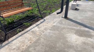 Неожиданные гости во дворе. Прополола огород