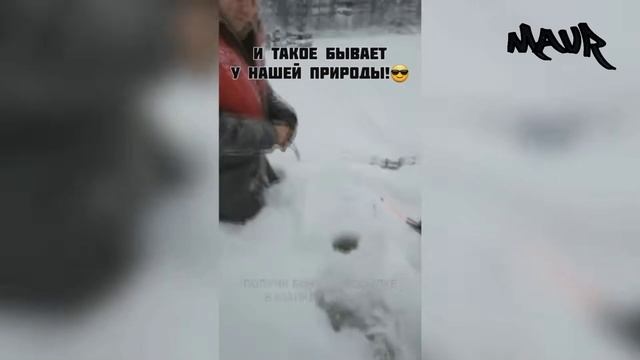 ПРИКОЛЫ ПРО РЫБАЛКУ 2025 - Самое смешное, ржака на рыбалке