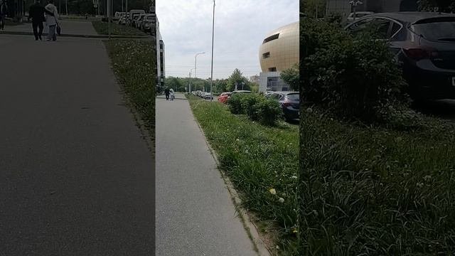 Поле, русское поле