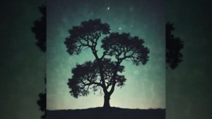 Кравченко Дмитрий - Дружба