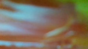 На острие атаки(Эй, девчонки, что смотрите в окно, заче?