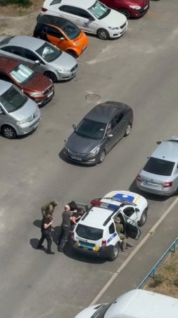 Вот для чего в Украине столько Полиции.