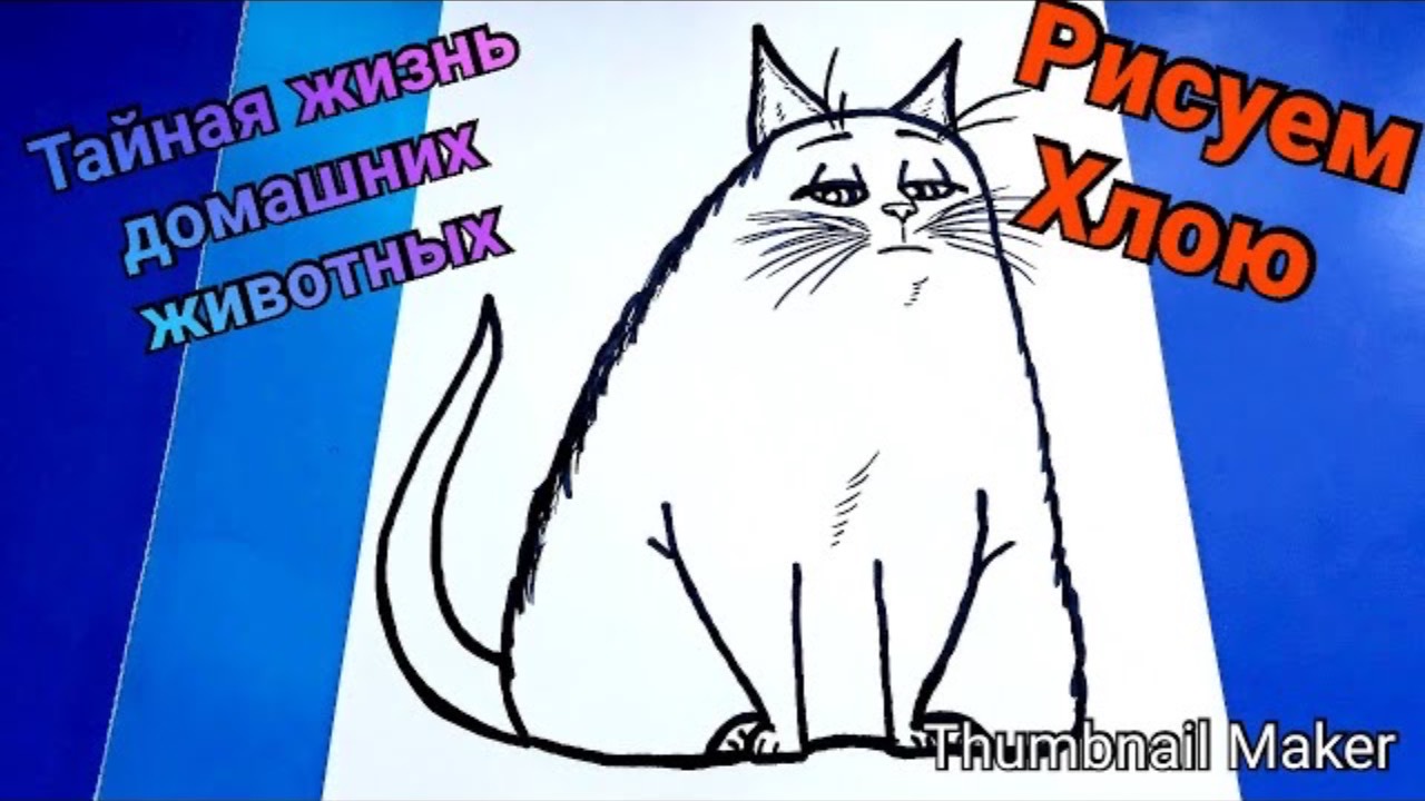 🎨Как нарисовать ХЛОЮ🐈 из мультфильма ТАЙНАЯ ЖИЗНЬ ДОМАШНИХ ЖИВОТНЫХ 2✍️ПОЭТАПНО🎈😻Хлоя👩🎨