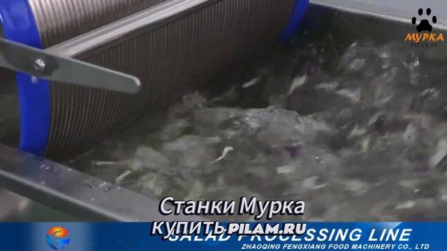 Мурка станки Food Processing Line лучшее в истории отрасли пище