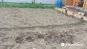 Наши 8,4 сотки.Мой эксперимент 🍉Прополола капусту 🥬