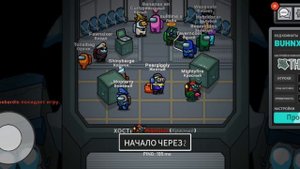 Играю в among as