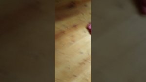 пол-это лава-3 часть.