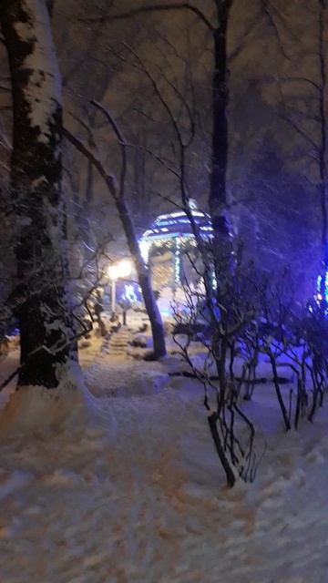 Снежный Новый год 2019