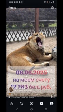 На счету шерхана 12283 бел. руб.