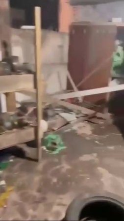🐻 Медвежонка привезли на передержку в зоопарк Ульяновска  Дело было под Самарой.