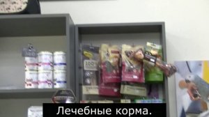 Ветаптека Бемби Июнь 2025