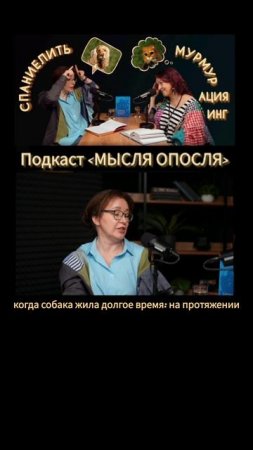 Спаниелить, животные научились копировать своих хозяев