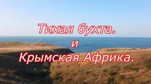 Крымская  Африка в Тихой бухте.