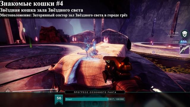 Знакомые кошки - руководство по местоположению (2-ая не смотреть онлайн