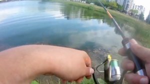 Питер ❤️рыбалка 🎣🎣🎣🎣