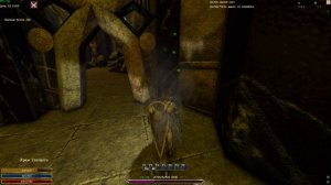 Шаманы Хаш-Некрона