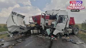 ДТП. Дорожные Июньские Замесы Торопыг и Водятлов